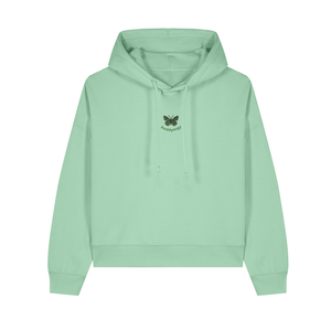 misty jade green hairstreak butterfly